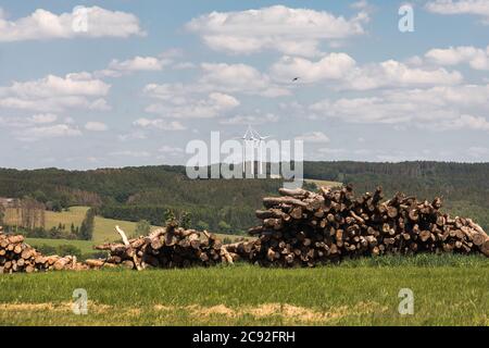 Cut down trees along the walking path of the Wupper, Germany Stock Photo