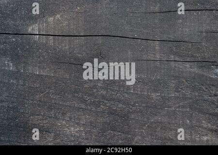 Gray wood background. Dark wood texture. Stock Photo