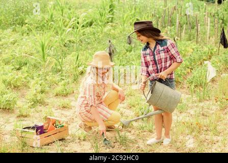 Sisters together helping at farm. Girls planting plants. Agriculture concept. Growing vegetables. Hope for nice harvest. Rustic children working in garden. Planting and watering. Planting vegetables. Stock Photo