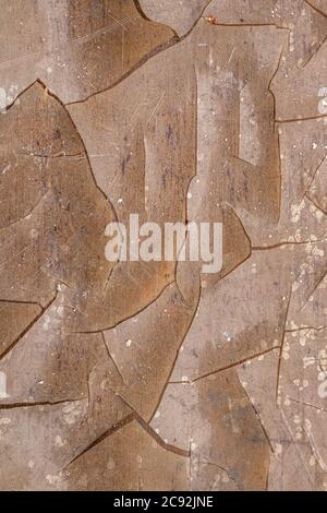Gray wood background. Dark wood texture. Stock Photo