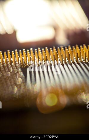 The computer processor contacts in a shot,  back light. Stock Photo