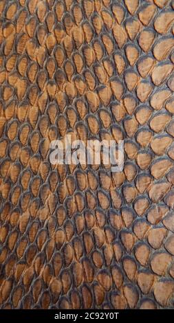 Snake brown skin texture as vertical background. Top wiev. Macro. Stock Photo