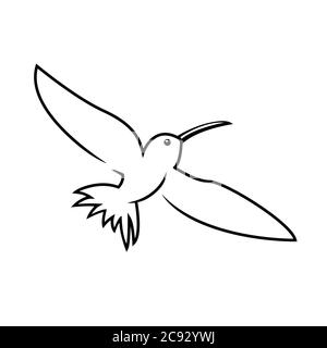 Stylized hummingbird icon or logo in different styles: line art, solid black and color. Isolated colibri symbol vector illustration. Stock Vector