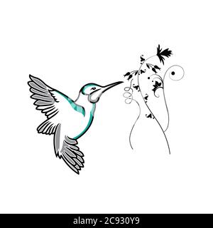 Stylized hummingbird icon or logo in different styles: line art, solid black and color. Isolated colibri symbol vector illustration. Stock Vector