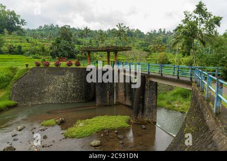 Water dam at Rice paddies Stock Photo