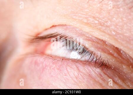 Male eyelashes extreme close-up with eyes rolled Stock Photo