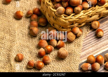 Hazelnuts in a wicker basket and hazelnuts scattered on a background of homespun fabric with a rough texture. Close up Stock Photo