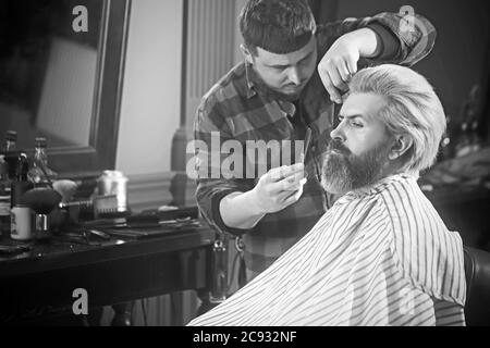 Professional hairdresser cutting brutal man hair in beauty saloon. Stock Photo