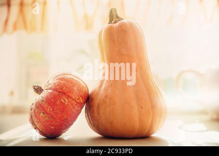 Two pretty pumpkins on the table at sun light. Stock Photo