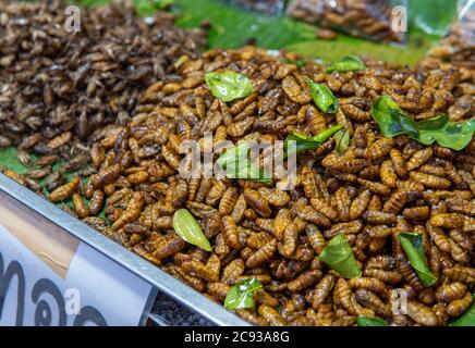 Street food bugs for sale in Northern Thailand, Chiang Mai Stock Photo