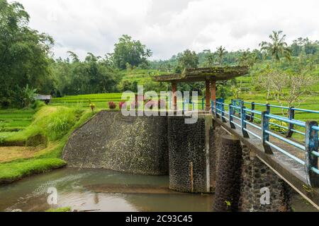 Water dam at Rice paddies Stock Photo