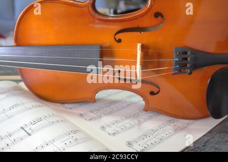 The art of violin, the prince of musical instruments Stock Photo