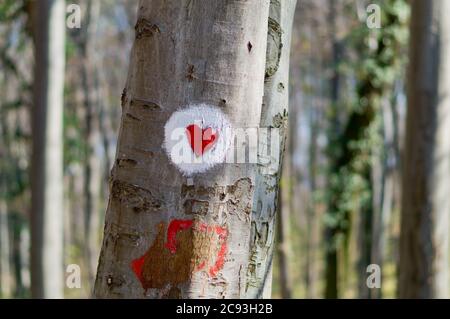 Tree in a park with a red heart drawn on it Stock Photo