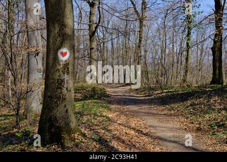 Tree in a park with a red heart drawn on it Stock Photo