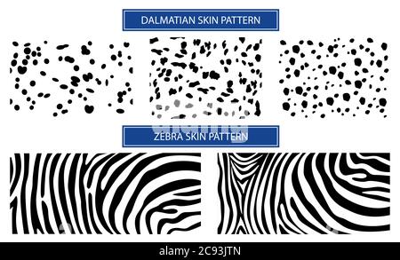 Pattern skin for textile design. Set Skin dalmatian spots and zebra line. Horizontal background, black chaotic spots isolated on white. Stock Vector
