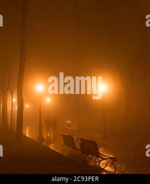 Couple walk by foggy park alley in th evening. Kyiv, Ukraine Stock Photo
