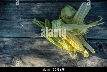 Opened corn cob on an old wooden table lying outside with light from the sun in the Swedish garden Stock Photo