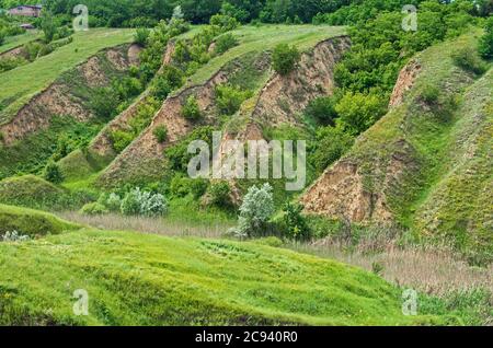 Ravines. Erosion of agricultural land by spring meltwater and ...