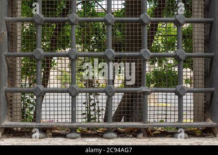 Historical protection fence from cast iron material squarely positioned. Stock Photo