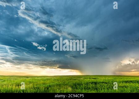 Panorama of a massive mesocyclone weather supercell, which is a pre-tornado stage, passes over a grassy part of the Great Plains while fiercely trying Stock Photo