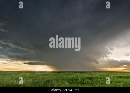 Panorama of a massive mesocyclone weather supercell, which is a pre-tornado stage, passes over a grassy part of the Great Plains while fiercely trying Stock Photo