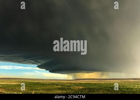 Panorama of a massive mesocyclone weather supercell, which is a pre-tornado stage, passes over a grassy part of the Great Plains while fiercely trying Stock Photo