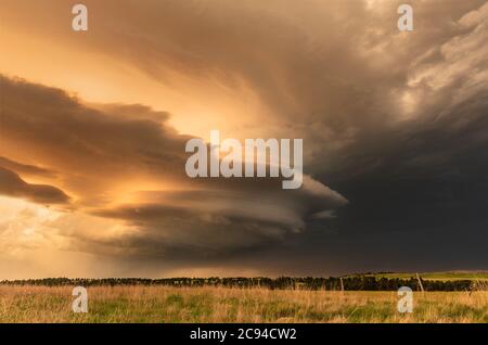 Panorama of a massive mesocyclone weather supercell, which is a pre-tornado stage, passes over a grassy part of the Great Plains while fiercely trying Stock Photo