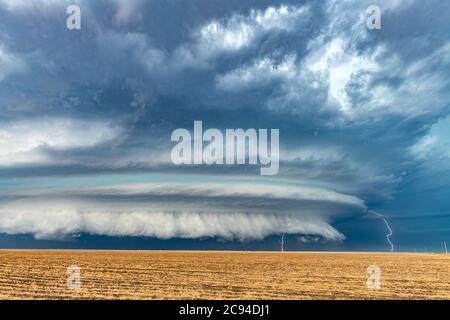 Supercell storm clouds at sunset over a field near Earth, Texas, USA ...