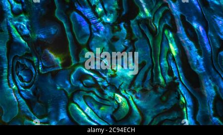 Brightly coloured New Zealand Paua shell patterns. Paua is a large mollusc found in coastal waters and is known as abalone in other parts of the world Stock Photo