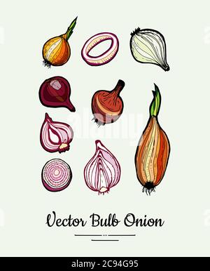 Golden red bulb onion hand drawn vector illustration set. Modern line vegetable onion halves cutted rings illustration Stock Vector