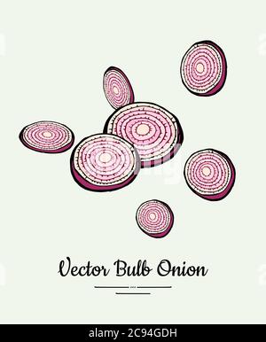 Cutted bulb red onion rings hand drawn vector illustration. Modern line ink vegetable onion poster logo icon sticker Stock Vector