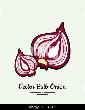 Cutted bulb red onion hand drawn vector illustration. Modern line ink vegetable onion halves isolated logo icon banner Stock Vector