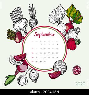 2020 September calendar vegetable. Red sugar beet groceries vector set. Desk, screen, colorful 2020 calendar template. Stock Vector
