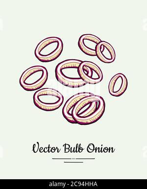 Cutted bulb red onion rings hand drawn vector illustration. Modern line ink vegetable onion poster logo icon sticker Stock Vector