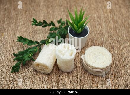 Different types of zero waste sponges. Sustainable lifestyle concept Stock Photo