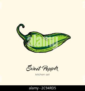 Green pepper vector isolate. Hand drawn illustration sweet bulgarian bell paprika capsicum chili hot pepper icon logo Stock Vector