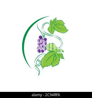 Design template logo and emblem - taste and liquid for vape - grapes. Logo in trendy linear style Stock Vector