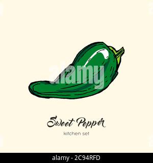 Green pepper vector isolate. Hand drawn illustration sweet bulgarian bell paprika capsicum chili hot pepper icon logo Stock Vector