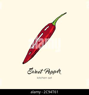 Red pepper vector isolate. Hand drawn illustration sweet bulgarian bell paprika capsicum chili red hot pepper icon logo Stock Vector