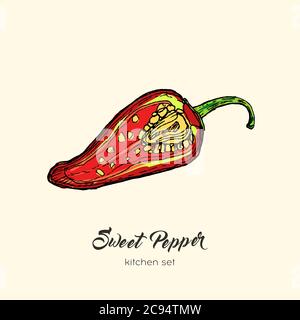 Red pepper vector isolate Hand drawn illustration half cutted sweet bulgarian bell paprika capsicum chili red hot pepper Stock Vector