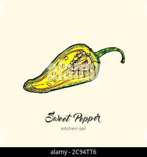 Yellow pepper vector isolate. Hand drawn illustration half cutted sweet bulgarian bell paprika capsicum chili hot pepper Stock Vector