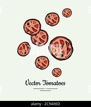 Tomato slices vegetable vector isolate. Red half cutted tomatoes. Vegetables hand drawn illustration. Trendy food Stock Vector