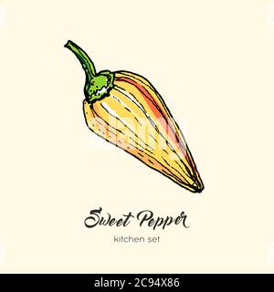 Orange pepper vector isolated. Hand drawn illustration sweet bulgarian bell, paprika, chili pepper. Line icon logo label Stock Vector