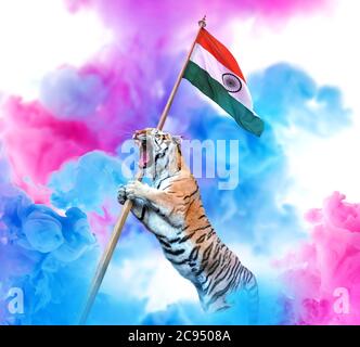 Tiger carrying an Indian flag with colourful smoke background. Patriotic theme concept. Stock Photo