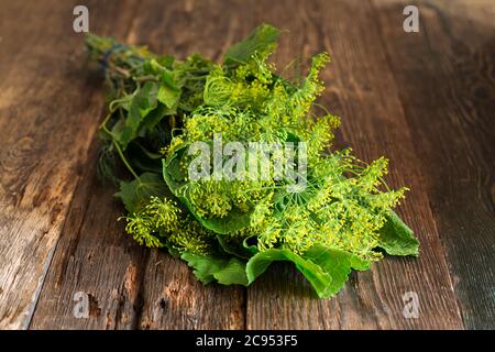 Bunch of herbs and spices for home preservation of products. A bunch of dill, horseradish leaves, currant branches and raspberries. Stock Photo