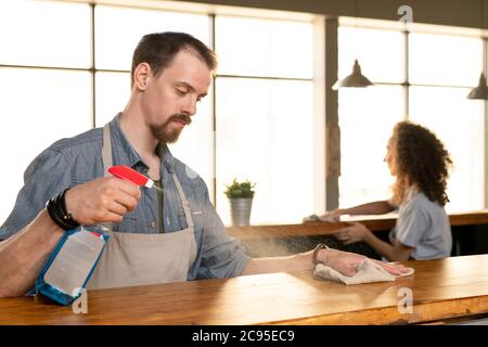Serious young bearded man in apron spraying detergent on bar counter while cleaning it in cafe Stock Photo