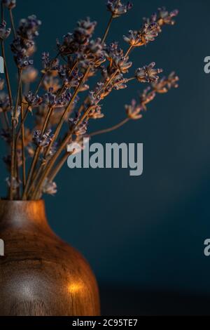 Dried lavender in wooden vase on dark blue background with copy space. Stock Photo