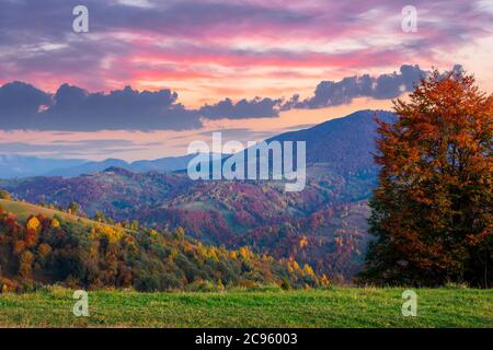 autumnal rural landscape at dusk. beautiful countryside in mountains. trees in fall foliage on green rolling hills. dramatic clouds above the distant Stock Photo