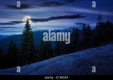 spruce forest on the hillside meadow at night. colorful grass in autumn. hills rolling in to the distance in full moon light. cloudy day Stock Photo