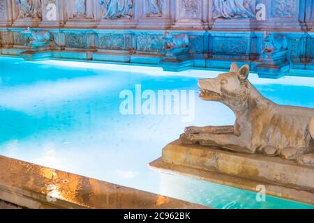 Particular of Fonte Gaia (1400s) at night in the Piazza del Campo, Siena, Italy. Stock Photo